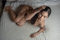 Foto Immagine Akita Trans Asiatica Trans Padova 3894245796 - 7