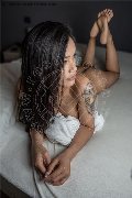 Foto Immagine Akita Trans Asiatica Trans Padova 3894245796 - 2
