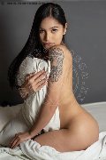 Foto Immagine Akita Trans Asiatica Transescort Ravenna 3894245796 - 1