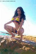 Foto Immagine Alessandre Xxii Trans Gallarate 3317852006 - 46