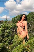 Foto Immagine Alessandre Xxii Trans Gallarate 3317852006 - 34