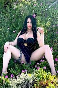 Foto Immagine Alessandra Xxii Transescort Gallarate 3317852006 - 61