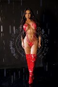 Foto Immagine Al�cia Lins Transescort Milano 3247827663 - 11