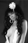 Foto Immagine Amanda Ts Transescort Fulda 00491799604168 - 4