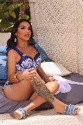 Foto Immagine Ana Conda Trans Ibiza 0034611310261 - 3