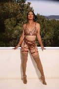 Foto Immagine Ana Conda Trans Ibiza 0034611310261 - 4