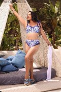 Foto Immagine Ana Conda Trans Ibiza 0034611310261 - 2