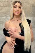 Foto Immagine Angel Bunny Transescort Milano 3474642611 - 3
