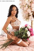 Foto Immagine Angel Jade Pornostar Trans Lecce 3485661010 - 1
