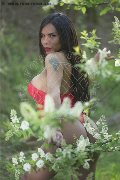 Foto Immagine Angell Trans Cinisello Balsamo 3339242519 - 4