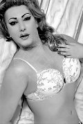 Foto Immagine Antonia Transescort Francoforte 004915166269219 - 3
