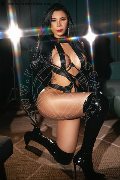 Foto Immagine Ariadna Trans Bologna 3887519396 - 71