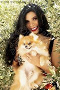 Foto Immagine Ariadna Transescort Bologna 3887519396 - 76