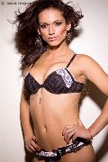 Foto Immagine Athena Lykaios Trans Monza 3391816156 - 14