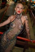 Foto Immagine Ath�na Trans Milano 3270729765 - 18