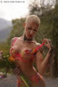 Foto Immagine Ath�na Trans Milano 3270729765 - 11