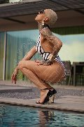 Foto Immagine Ath�na Trans Milano 3270729765 - 16