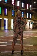 Foto Immagine Ath�na Trans Milano 3270729765 - 17
