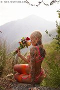 Foto Immagine Ath�na Transescort Milano 3270729765 - 3
