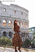Foto Immagine Bely Trans Conegliano 3445717583 - 28