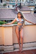 Foto Immagine Bia Trans Milano 3883270497 - 91