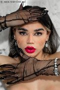 Foto Immagine Bia Trans Milano 3883270497 - 58