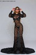 Foto Immagine Bia Trans Milano 3883270497 - 26