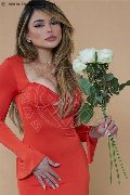 Foto Immagine Bia Trans Milano 3883270497 - 28