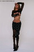 Foto Immagine Bia Trans Milano 3883270497 - 21