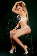Foto Immagine Brandy Trans 3883860479 - 42