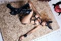 Foto Immagine Bruna Mor Trans Roma 3510998222 - 30