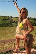 Foto Immagine Bruna Xxl Trans Parma 3295914684 - 4