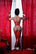 Foto Immagine Campbell Trans Padova 3933357541 - 33