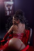 Foto Immagine Campbell Trans Padova 3933357541 - 40