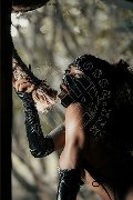 Foto Immagine Campbell Transescort Padova 3933357541 - 147