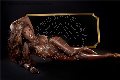 Foto Immagine Campbell Transescort Padova 3933357541 - 46