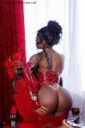 Foto Immagine Campbell Transescort Padova 3933357541 - 41