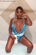 Foto Immagine Carolina Hot Trans 3278147101 - 44