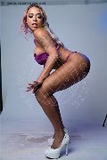 Foto Immagine Carolina Lins Trans Bela Vista 005511914219146 - 1