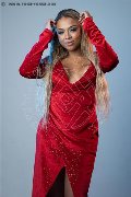Foto Immagine Carolina Lins Trans Bela Vista 005511914219146 - 12