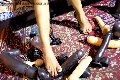 Foto Immagine Catadeya Mistresstrans Bologna 3387905590 - 55