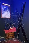 Foto Immagine Catadeya Mistresstrans Bologna 3387905590 - 29