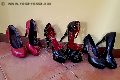 Foto Immagine Catadeya Mistresstrans Bologna 3387905590 - 15