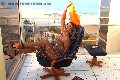 Foto Immagine Chiara La Padrona Trans Rimini 3932426288 - 47