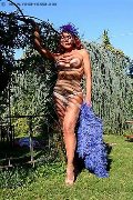 Foto Immagine Claudia B. Transescort Milano 3425725367 - 3