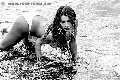 Foto Immagine Crystal Trans Genova 3494919500 - 19
