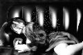 Foto Immagine Crystal Transescort Genova 3494919500 - 53