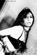 Foto Immagine Crystal Transescort Genova 3494919500 - 50