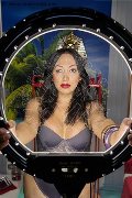 Foto Immagine Desirre Transescort Reggio Calabria 3922832689 - 6