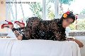 Foto Immagine Diana Ferraz Trans Firenze 3271287566 - 71